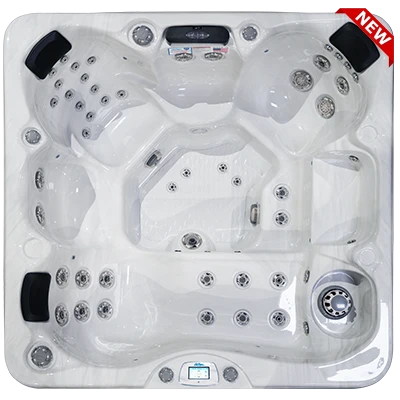 Avalon-X EC-849LX hot tubs for sale in Northport